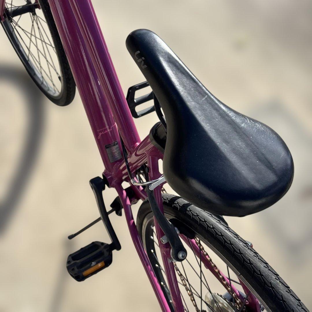 giant Liv Alight 子供用自転車 クロスバイク　ジャイアント