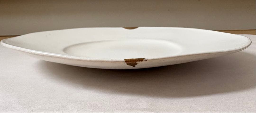 【安藤雅信】オランダ皿 2枚セット