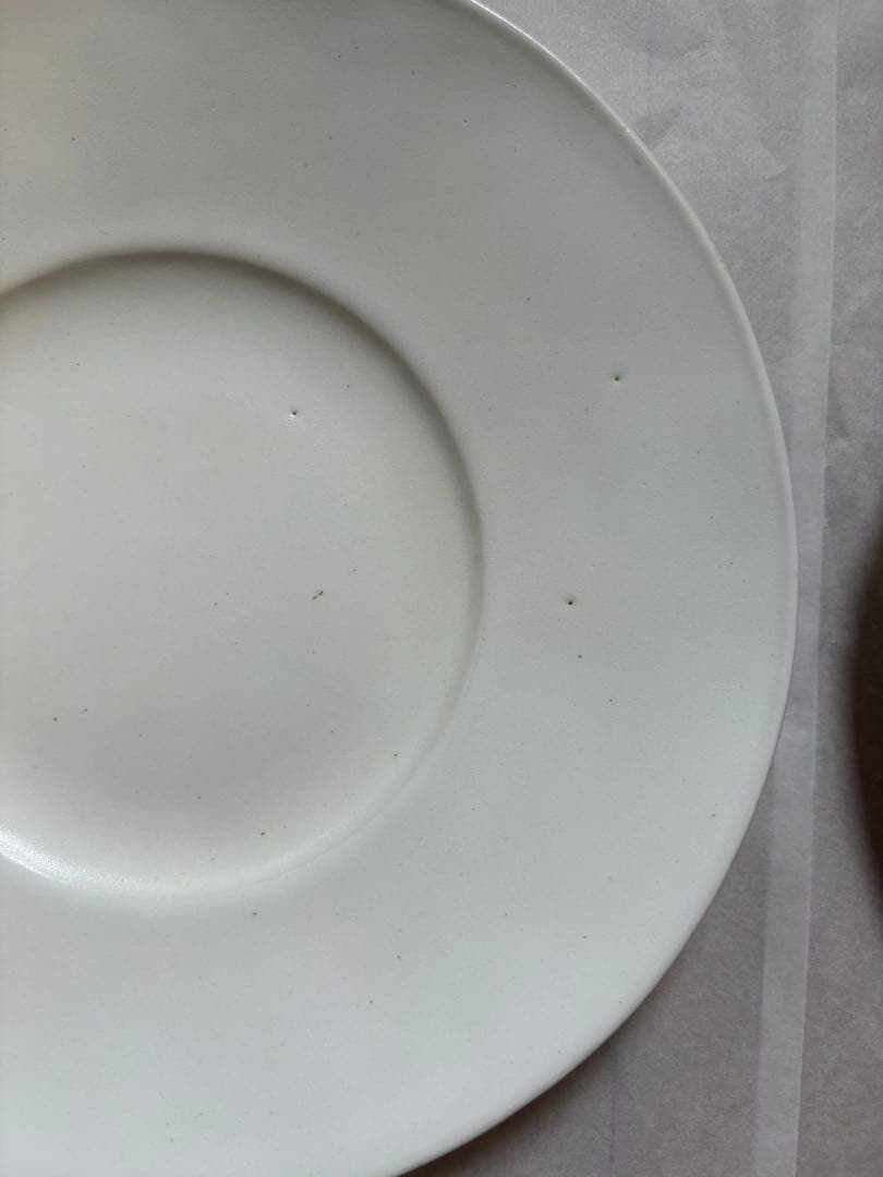 【安藤雅信】オランダ皿 2枚セット