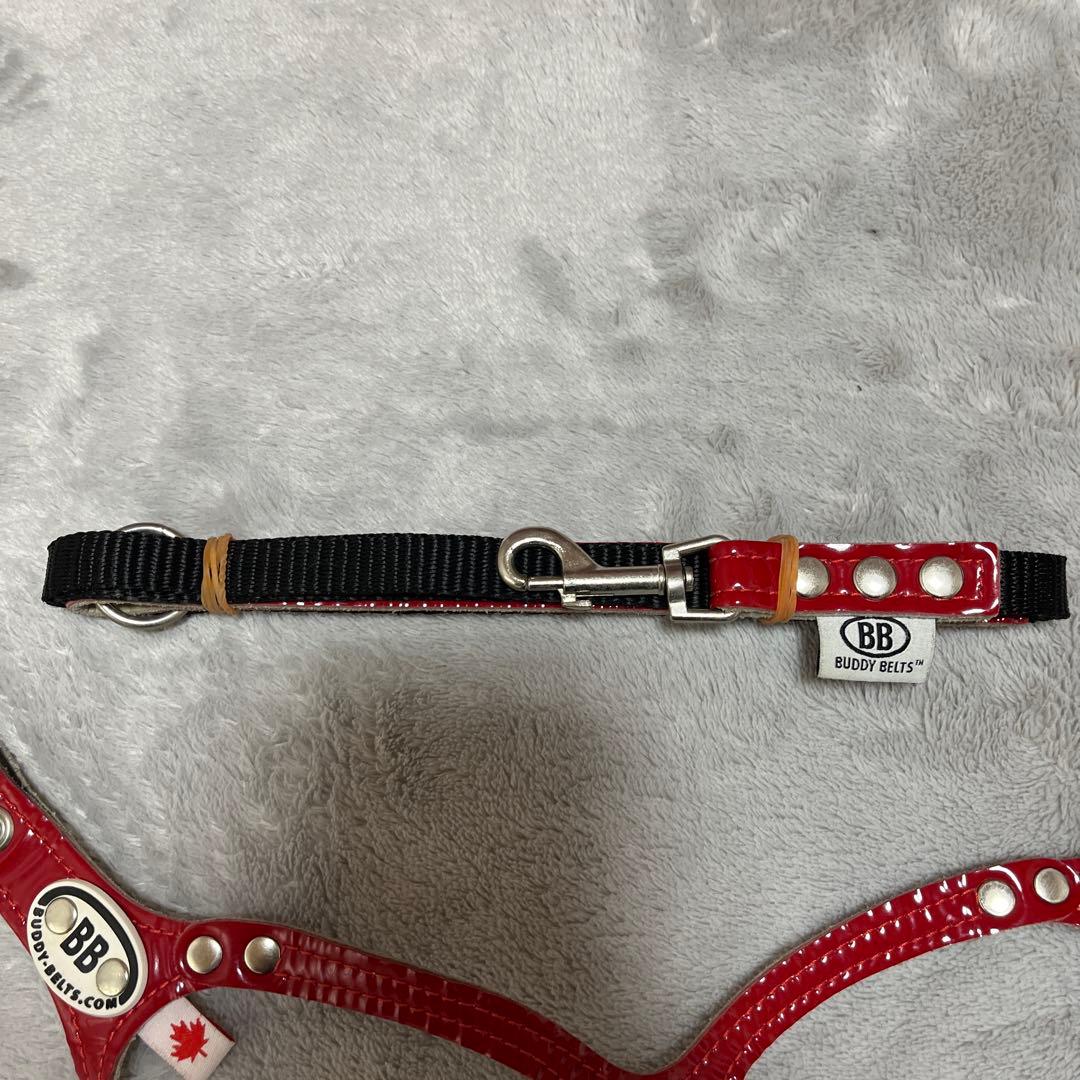 BUDDY BELTエナメルレッド貴重な限定色3.5号&リードSサイズセット