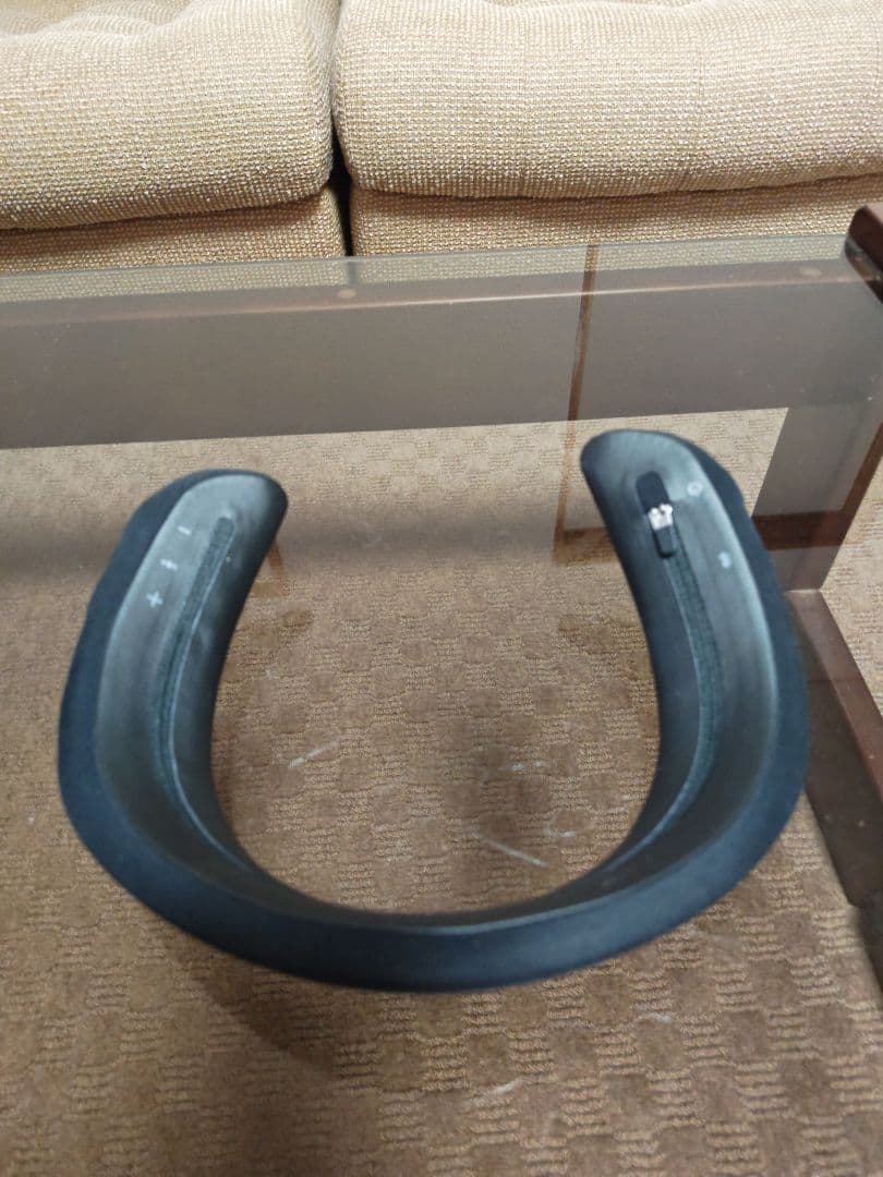 BOSE SOUNDWEAR COMPANION SPEAKER ブラック