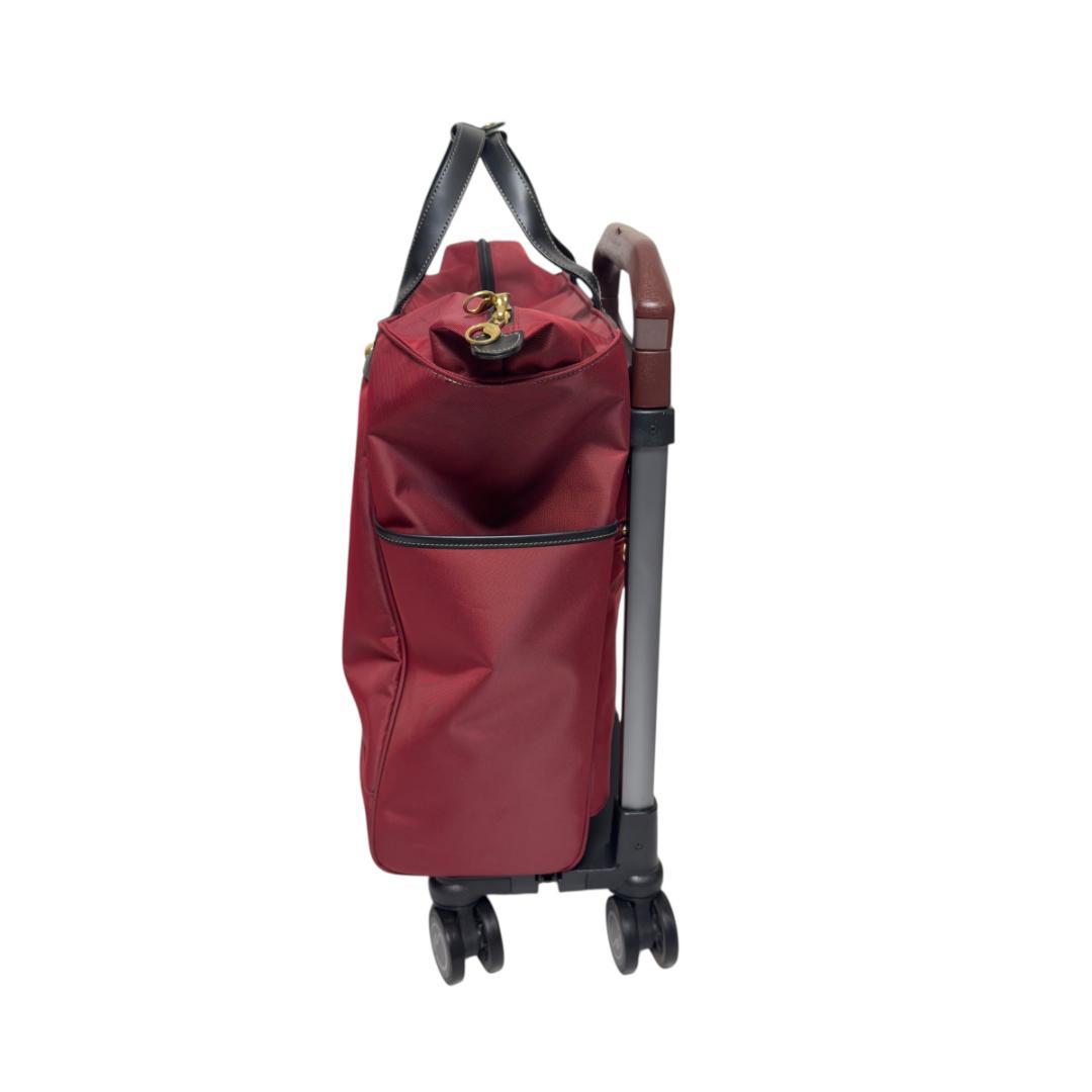 ACE ソエルテ アルディート 20L 43cm