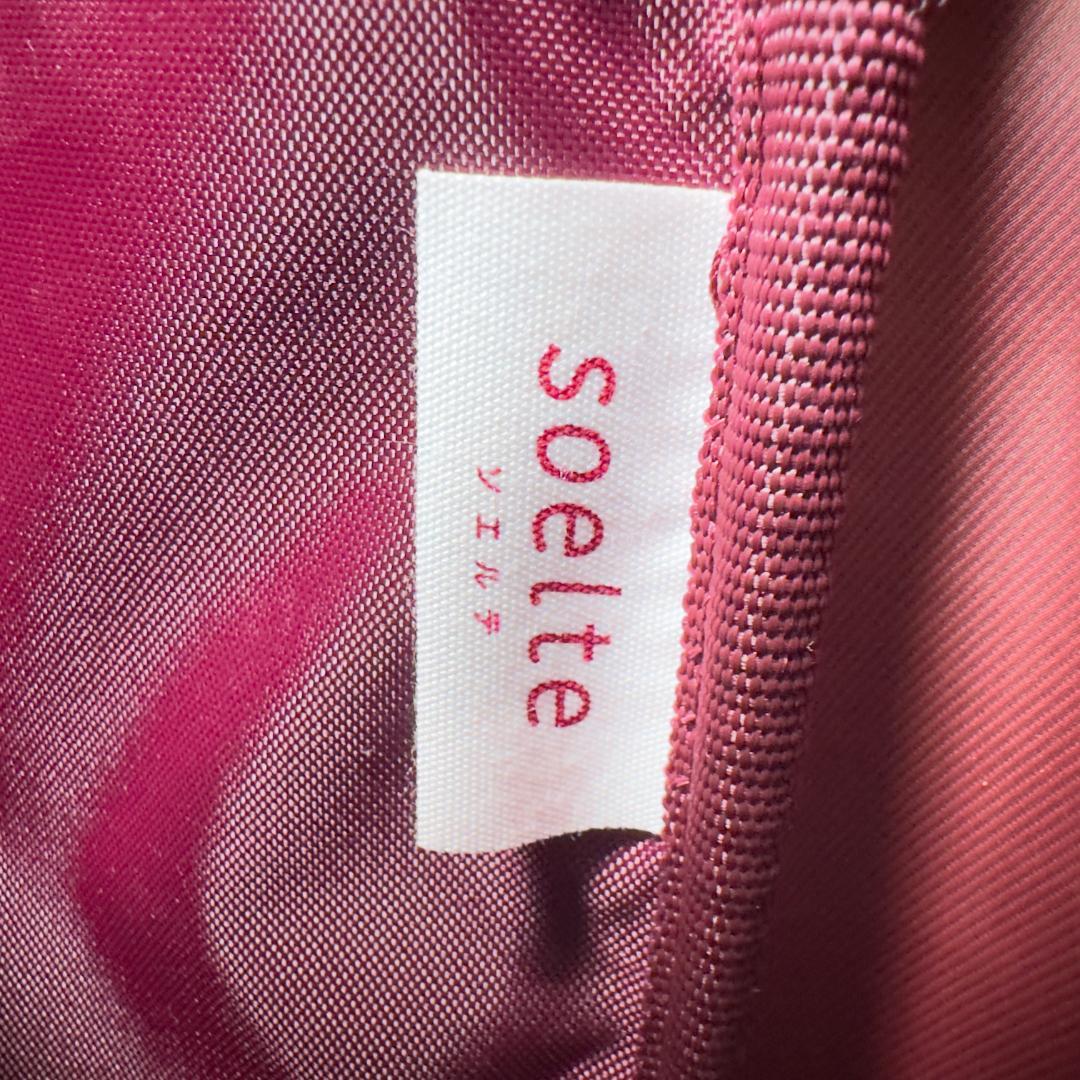 ACE ソエルテ アルディート 20L 43cm