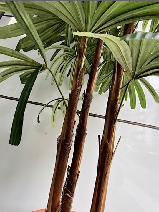 光触媒　人工観葉植物　ウォールグリーン　フェイクグリーン　シュロチク180