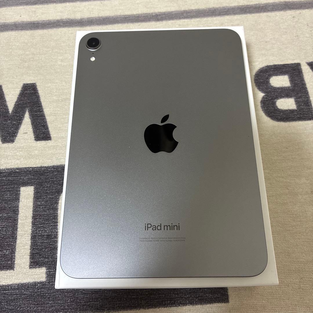 iPad mini7 256GB Wi-Fi +ケース +ペン