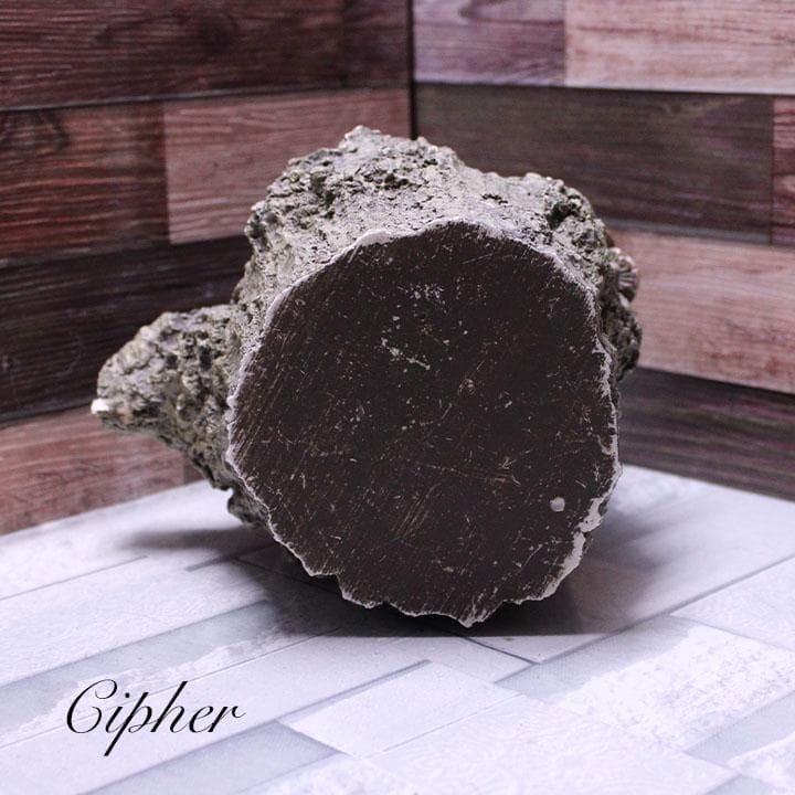 モルタル製　切株　植木鉢　植木鉢カバー　レトロ雑貨　SETO CRAFT　廃盤①