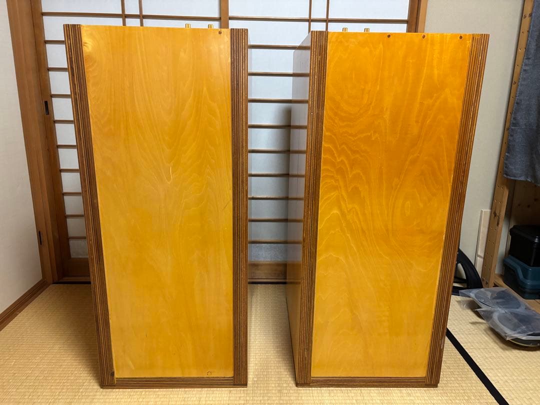 Ｄ58ＥＳ　バックロードホーン