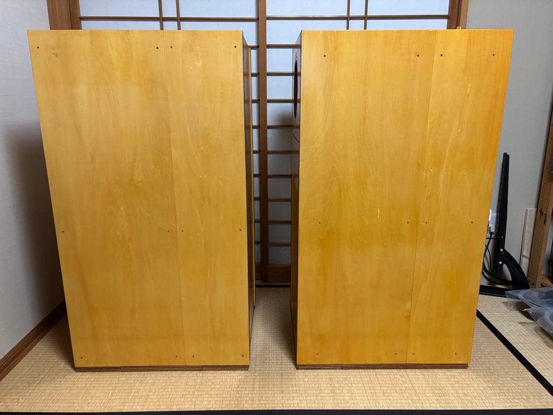 Ｄ58ＥＳ　バックロードホーン