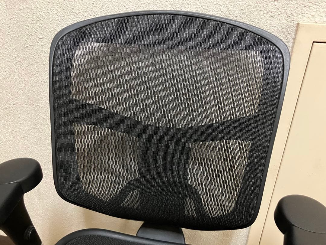 エンジョイ Ergohumanエルゴヒューマン 肘付きオフィスチェア