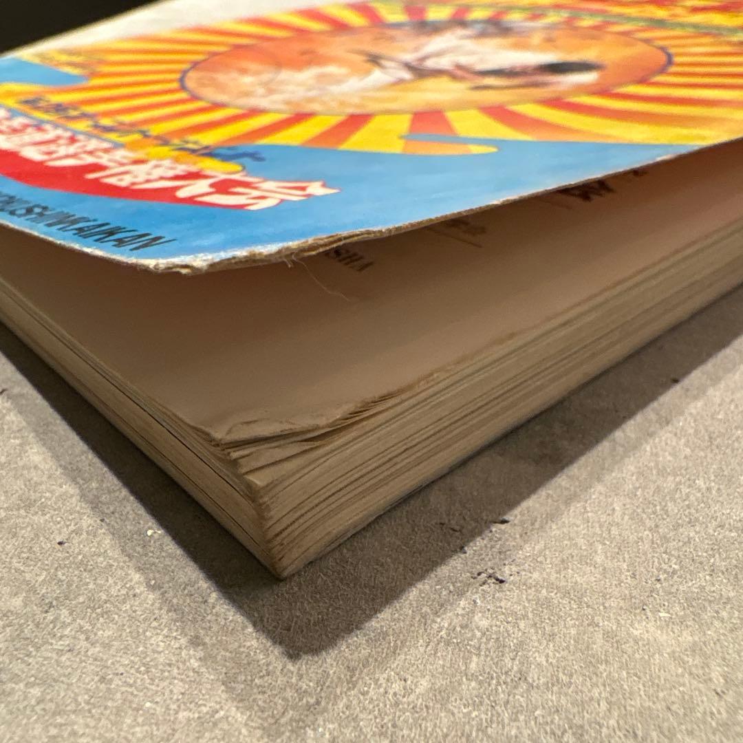 極真カラテ　第2回全世界空手道選手権大会　トーナメント表　極真会館　マス大山