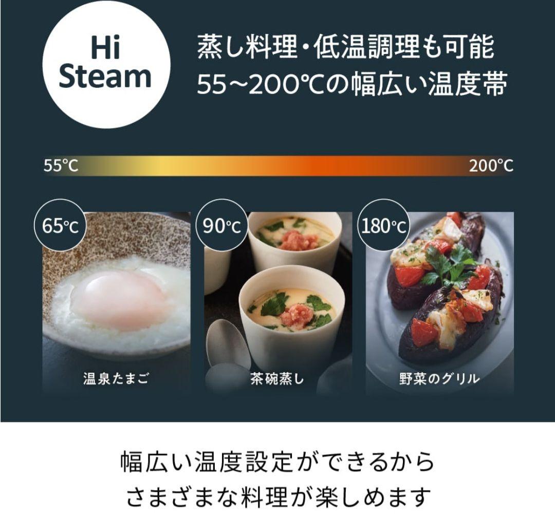 recolte レコルト ハイスチーム エアーオ ーブン RAO-3 新品