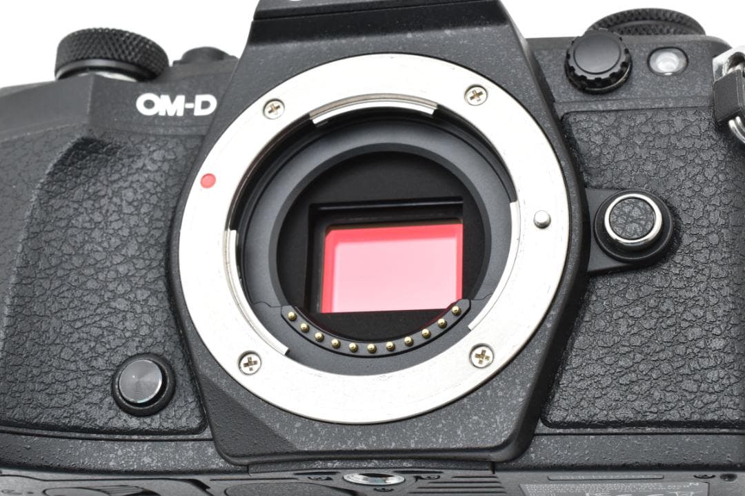 ■ 美品 ■ オリンパス　OLYMPUS E-M5 Mark II ボディ