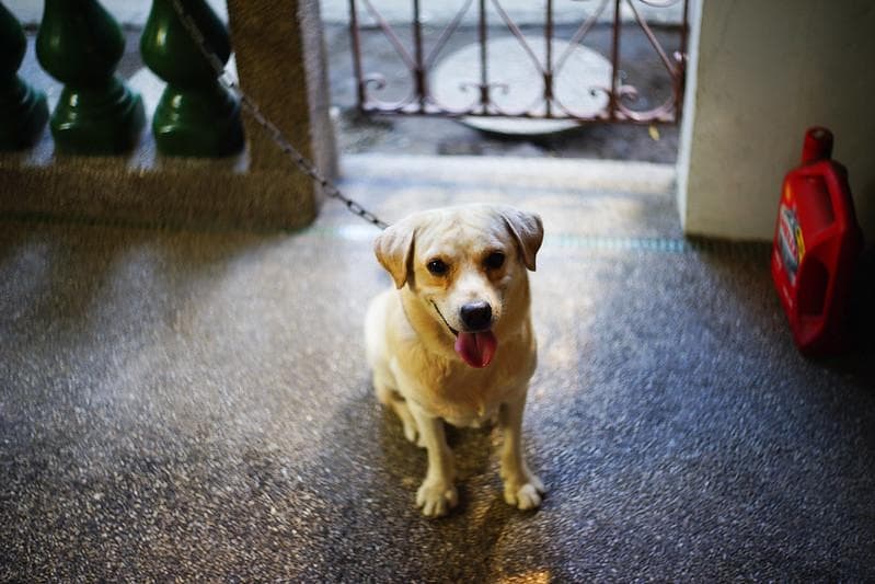 78　新品同様　希少ヘリオス　77M-4　ぐるぐるボケレンズ　　M42