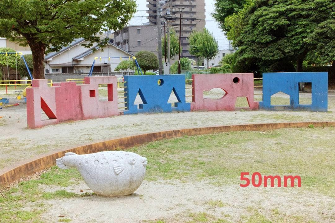 【作例あり】Olympus オリンパス　OM-1　レンズ2本付き