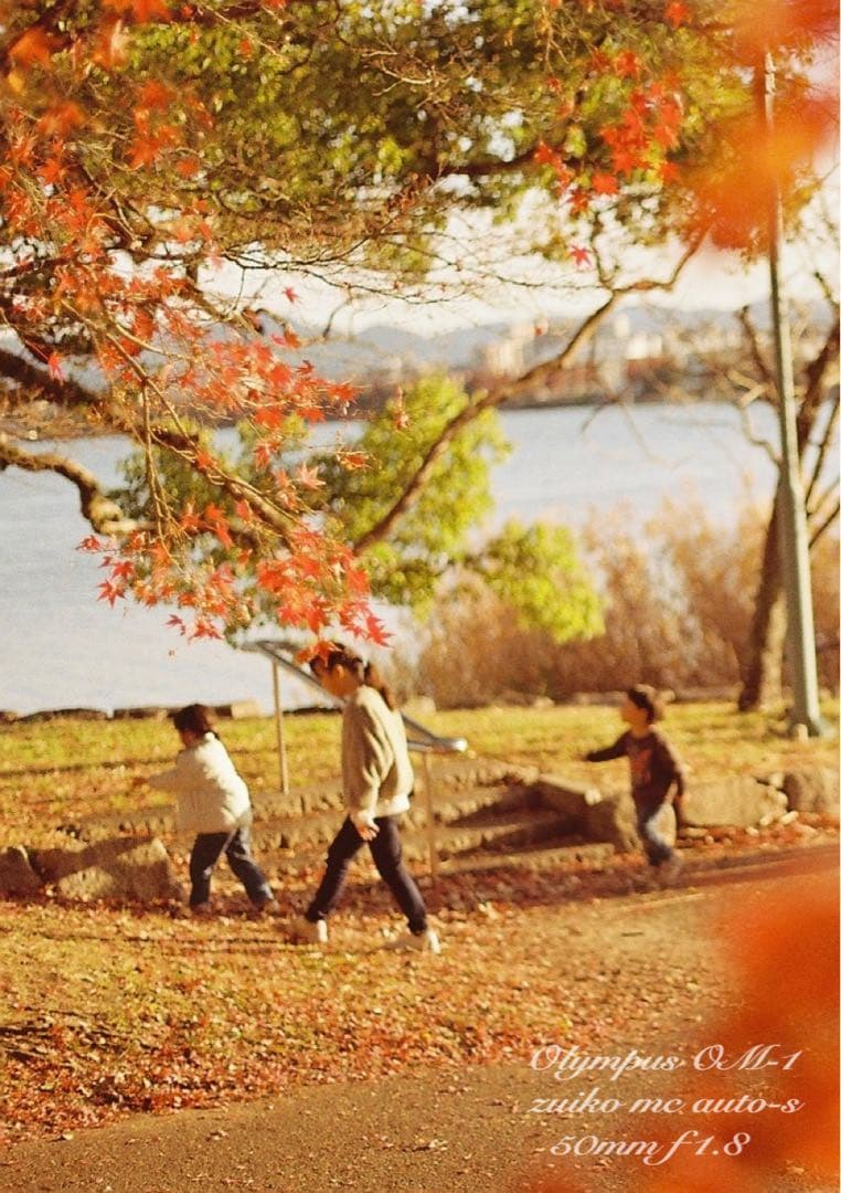 入門に★olympus om-1レンズセット★完動品＊美品＊初期保証＊作例多数！