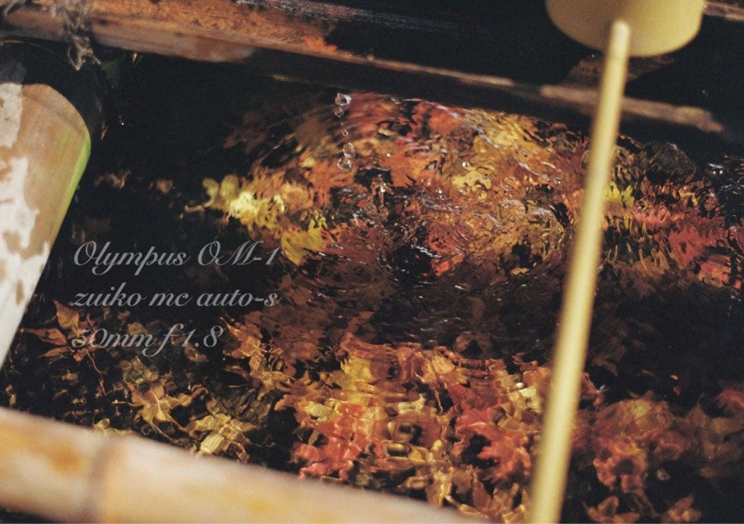 入門に★olympus om-1レンズセット★完動品＊美品＊初期保証＊作例多数！