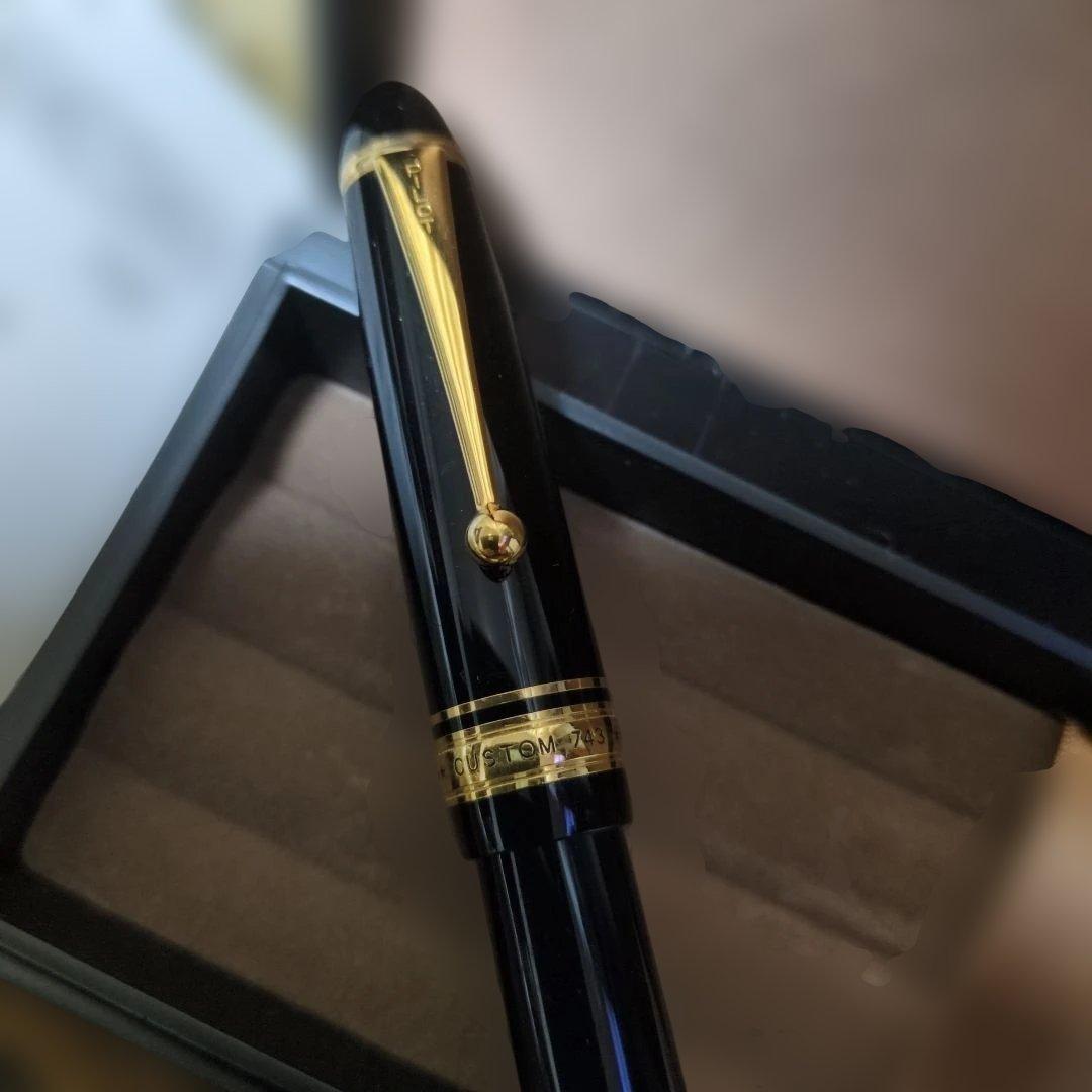 Pilot 万年筆 黒 金色装飾 ケース付き