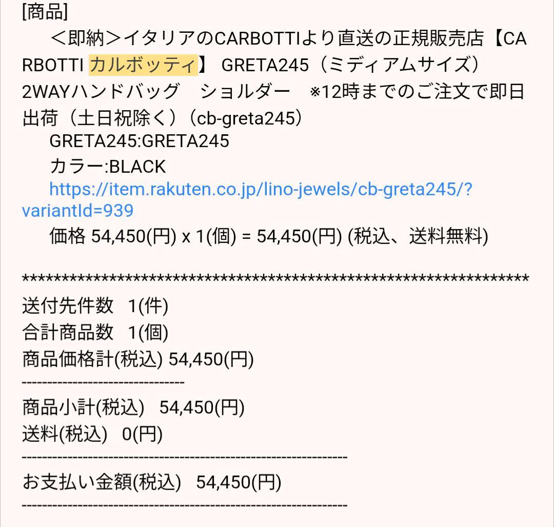 CARBOTTI GRETA245 ブラック 2WAYハンドバッグ