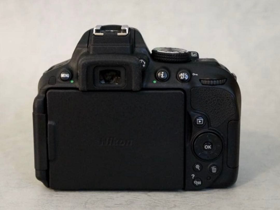 Nikon D5300 AF-S18-５５GiiVR サンパック　PF30X