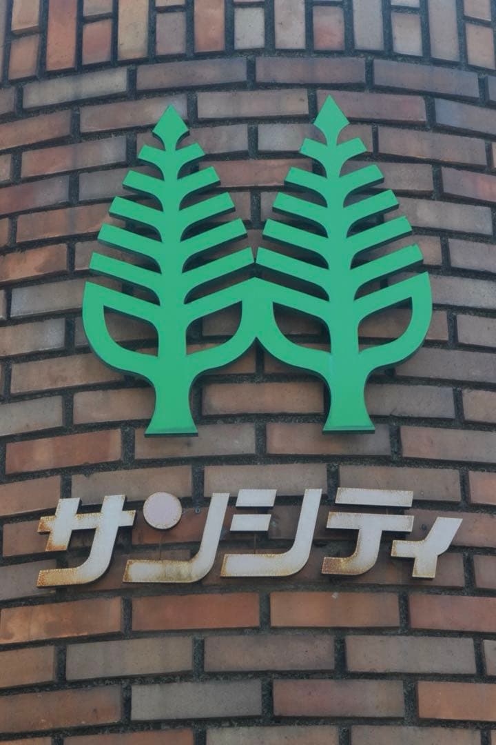 Nikon D5300 AF-S18-５５GiiVR サンパック　PF30X