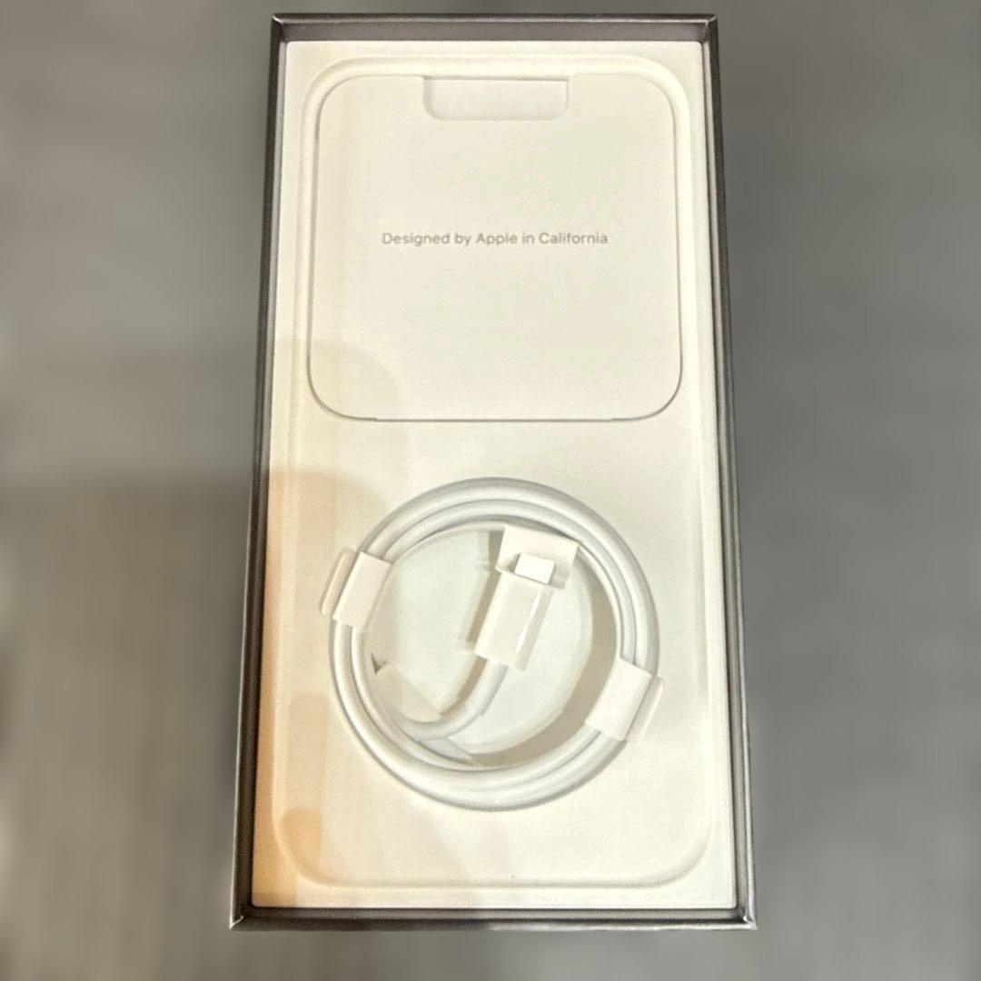 Apple iPhone 13 Pro max 1TBスペースブラックおまけ付き