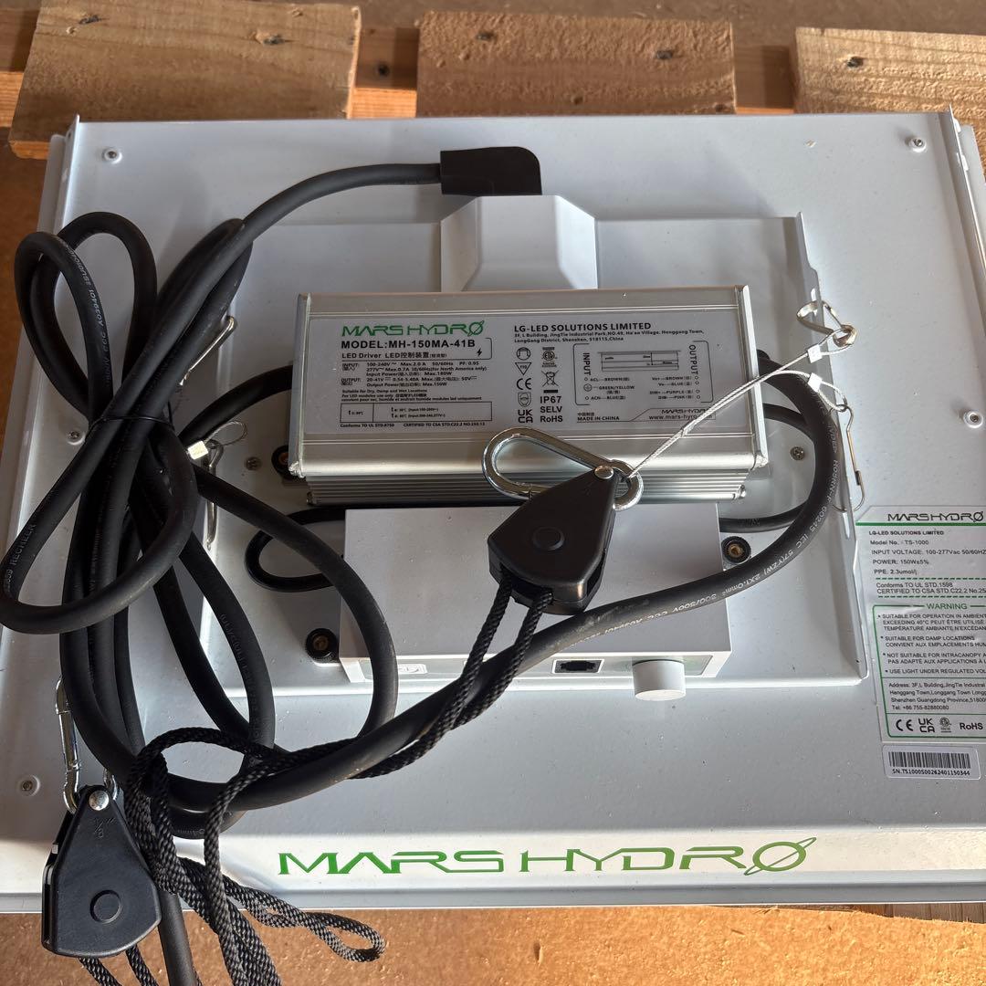 diver　TS-1000 2個