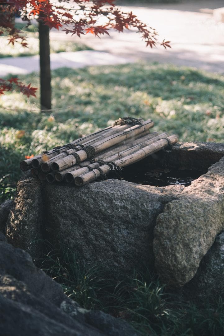 良品！木村文乃使用モデル！Leica Elmarit 90mm F2.8