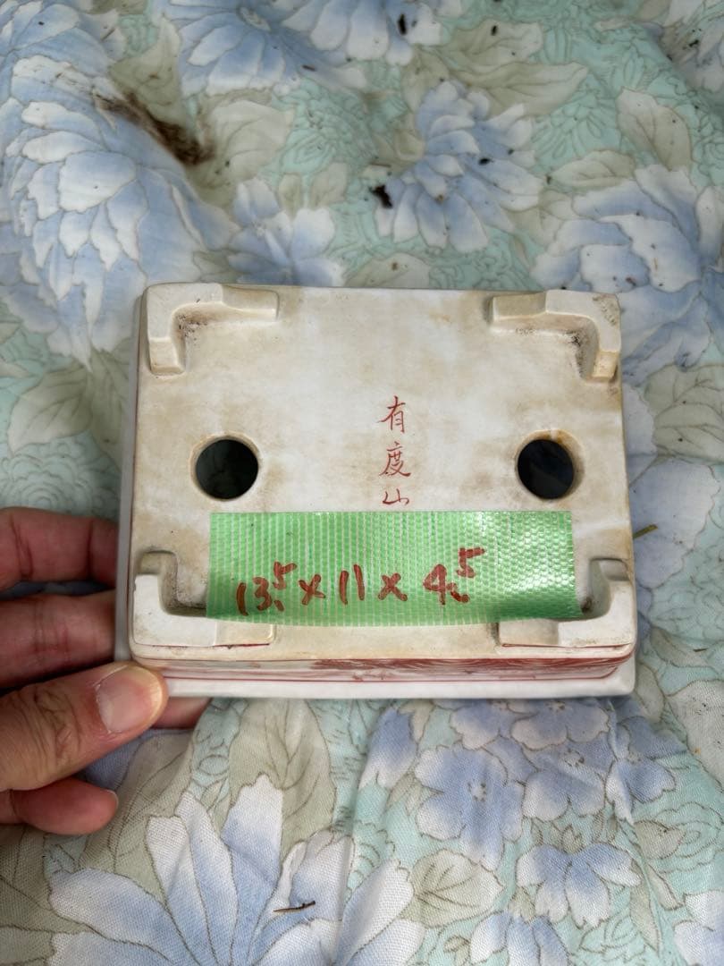 盆栽鉢　有度山