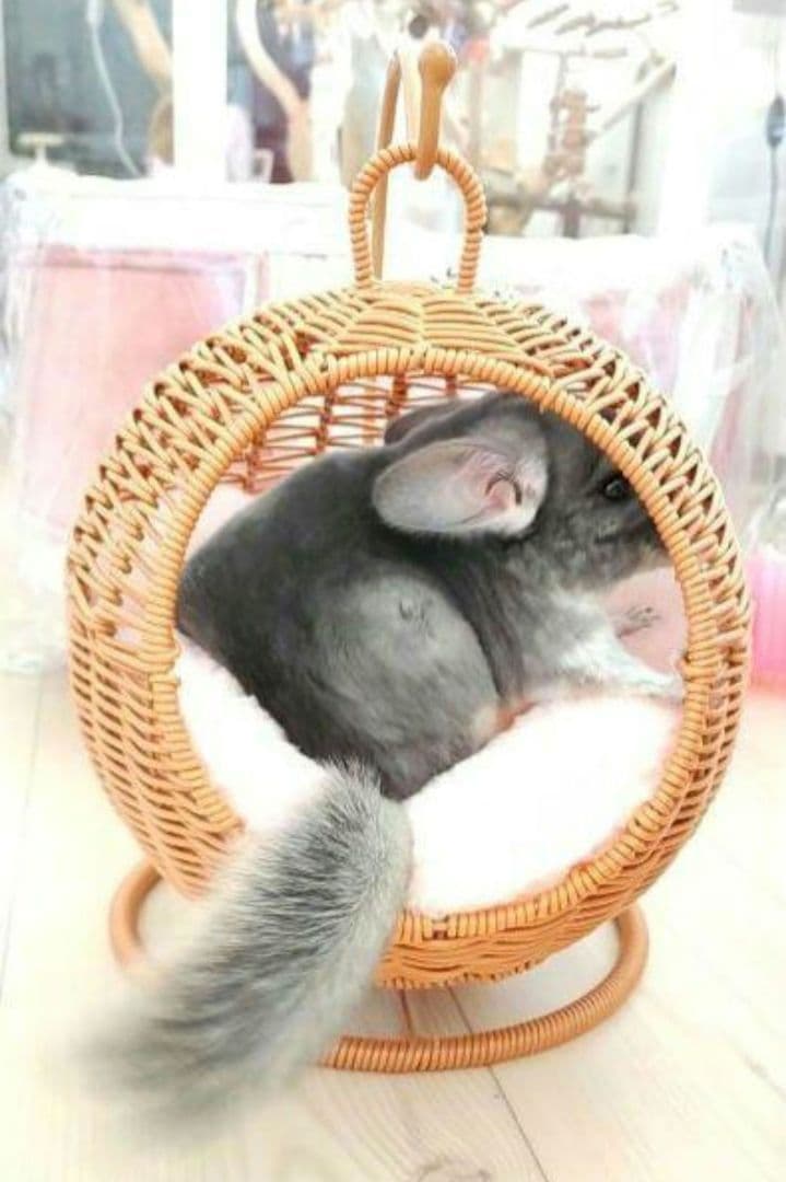 新品② チンチラ ハンキング ベッド ハウス モモンガ 小動物 子犬 ハンモッグ