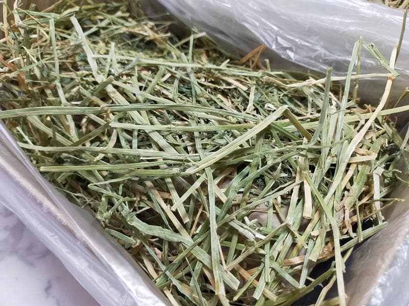 【1/14まで】 カナダ産 チモシー 50kg スーパープレミアム １番刈り