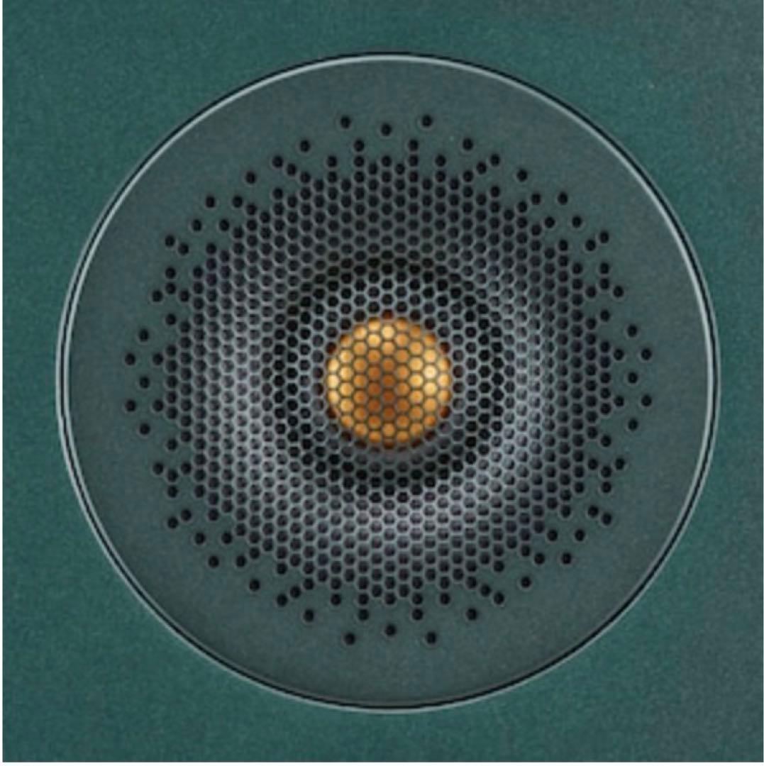 新品未開封）英国Monitor Audio創立50周年記念　国内50台限定販売品