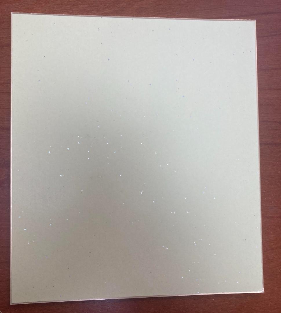 原辰徳ジャイアンツ元監督の直筆サイン2枚！2014年のスローガン「雄志」と共に！