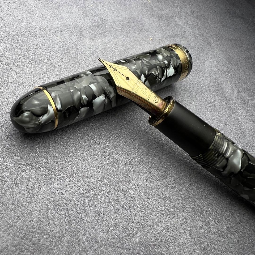 プラチナム センチュリー 万年筆 3776 希少デザイン Platinium