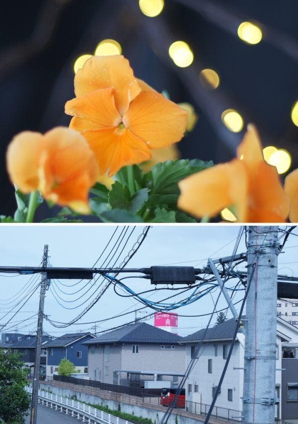 整備済 Canon AE-1 PROGRAM ブラック＋FD 50mm/f1.8