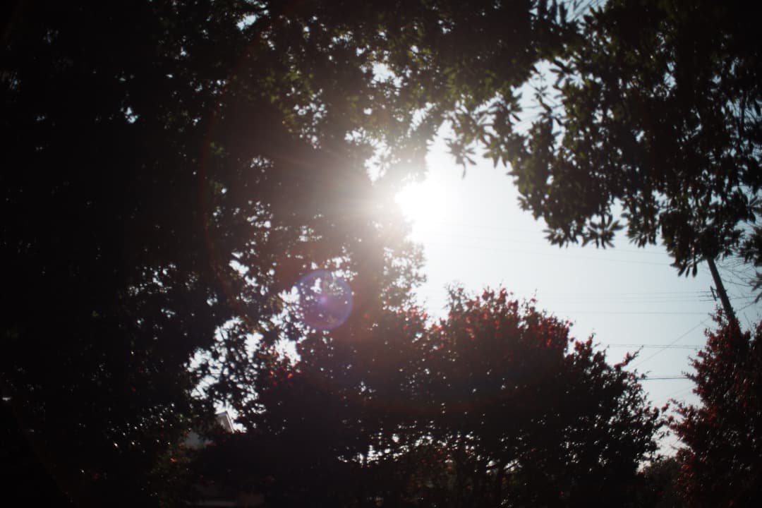 【美品】動作◎ オリンパス Zuiko auto-w 24mm F2.8 173