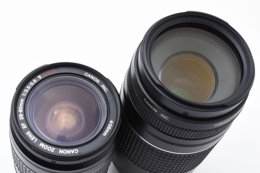 一眼レフカメラ Canon EOS 6D Mark II ダブルレンズセット