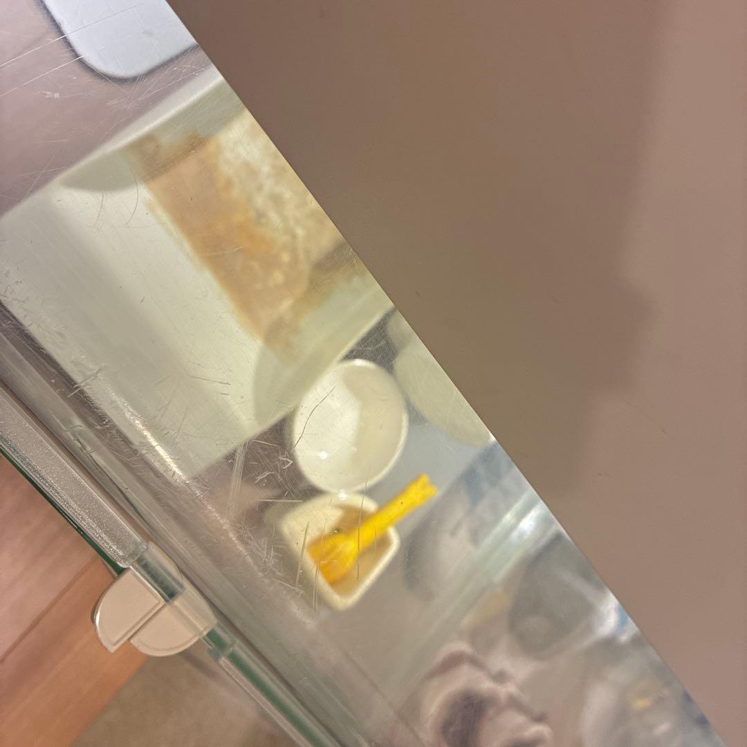 グラスハーモニー600飼育セット