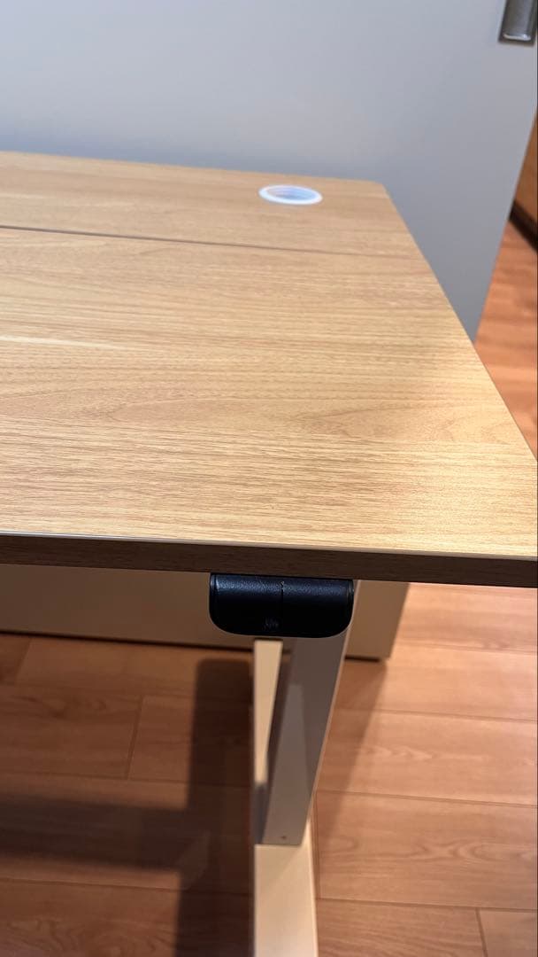 FLEXISPOT 電動式昇降デスク EG1-Light(幅120×奥行60)