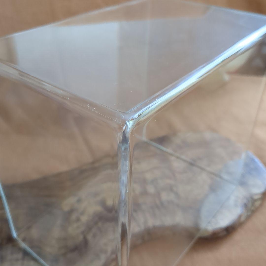 【高品質・透明度の高い　オーダーメイドのスペリア水槽　No.2 】
