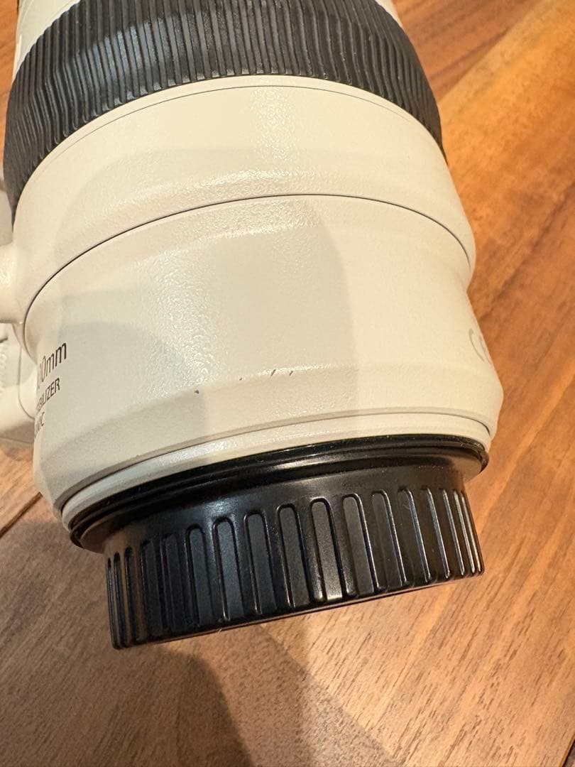 Canon EF100-400mm f4.5-5.6L IS II ＋おまけ付