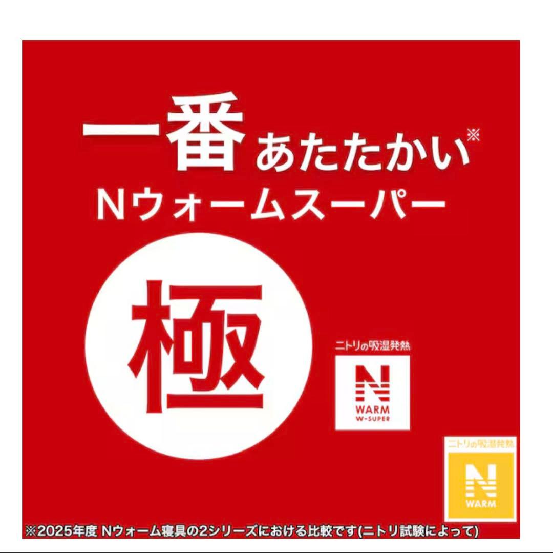 カバーのいらない両面掛ふとん シングル(Nウォーム WSP K2528 S)