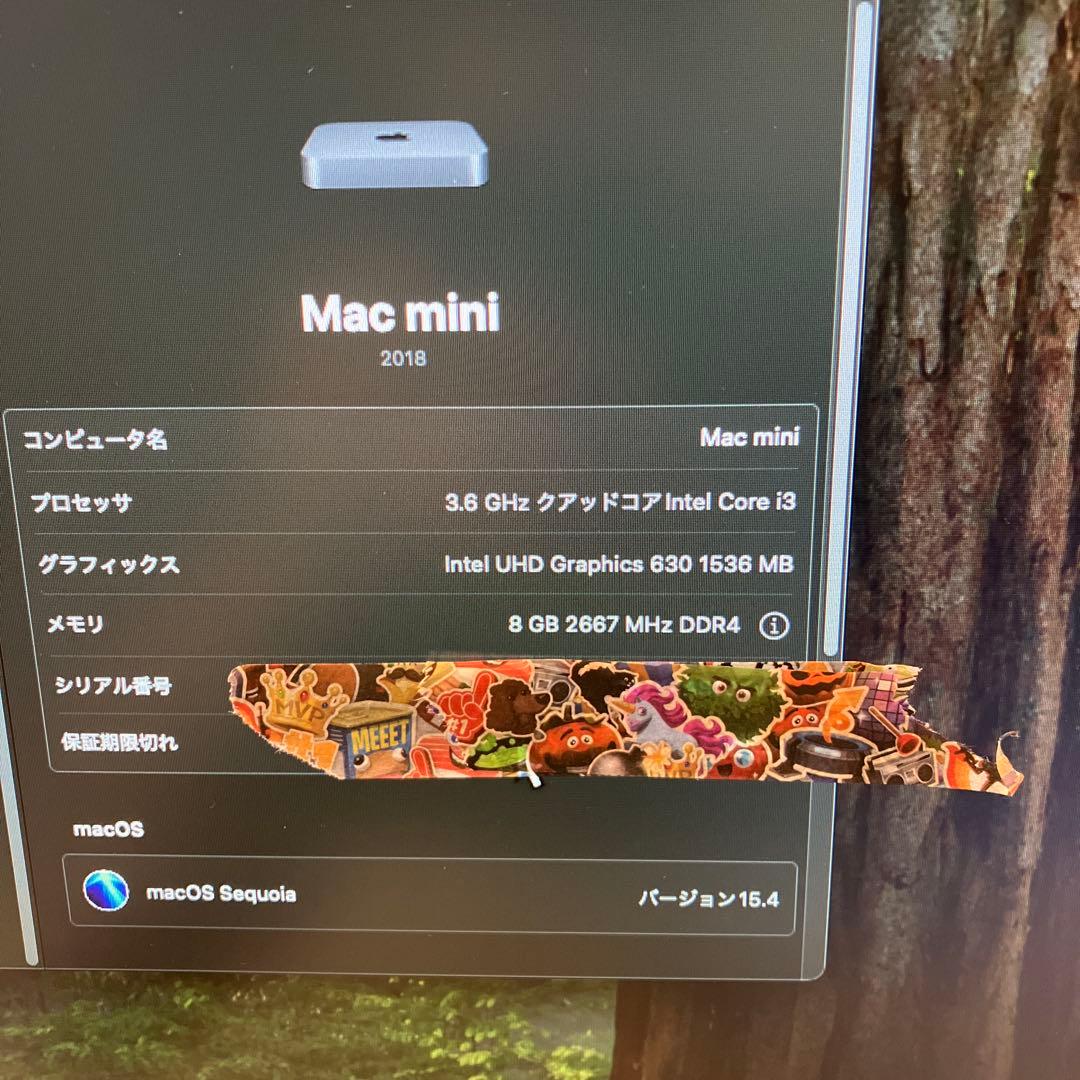 Apple Mac mini 2018 Core i3 本体　付属品