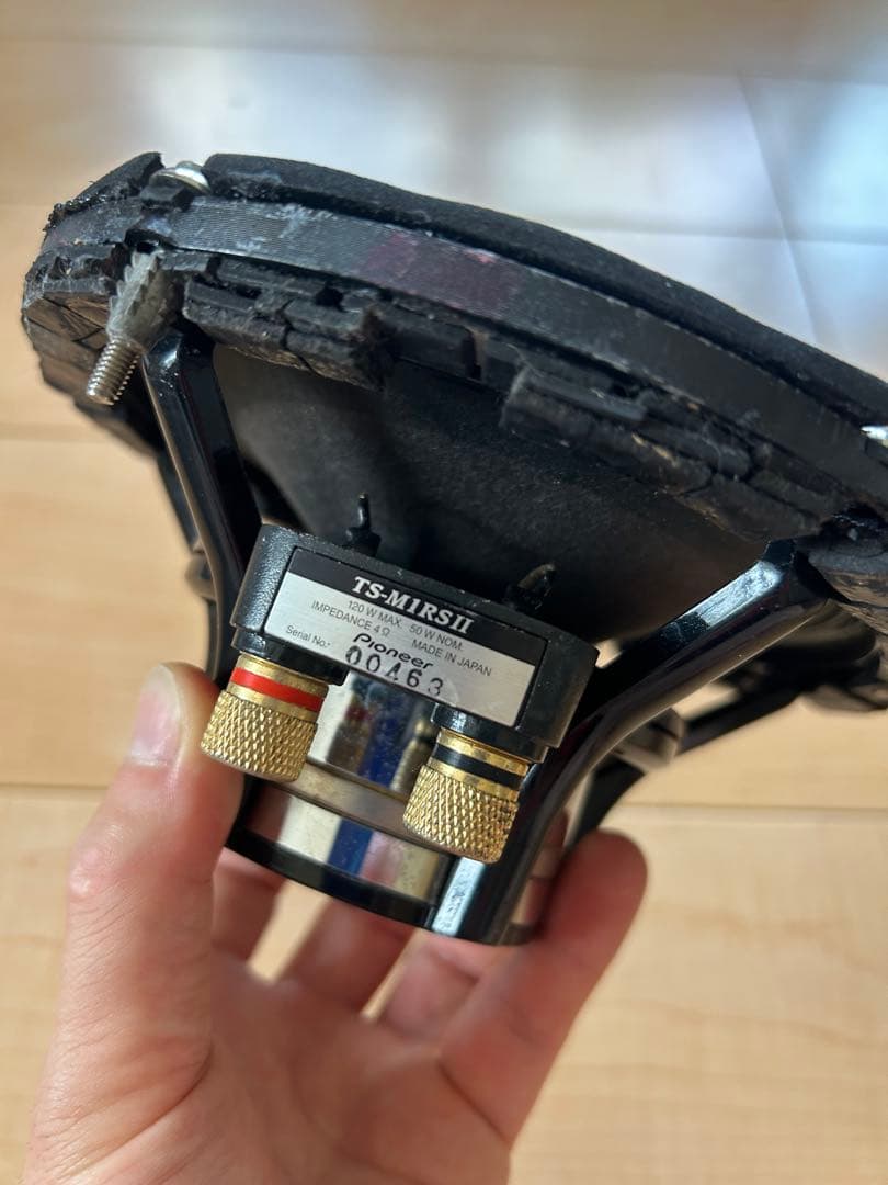 carrozzeria　TS-M1RSⅡ