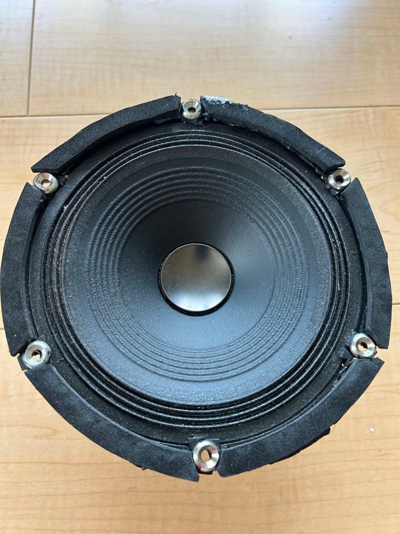 carrozzeria　TS-M1RSⅡ