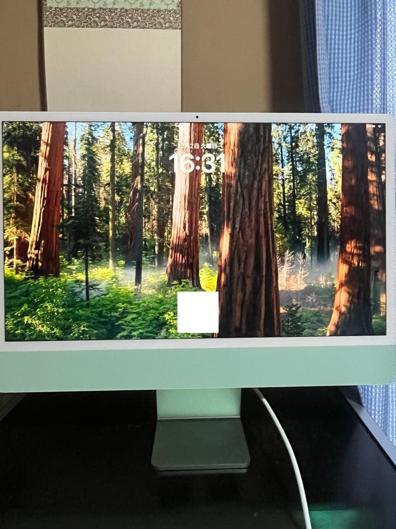 Apple iMac (グリーン) M3 16GB 512GB SSD