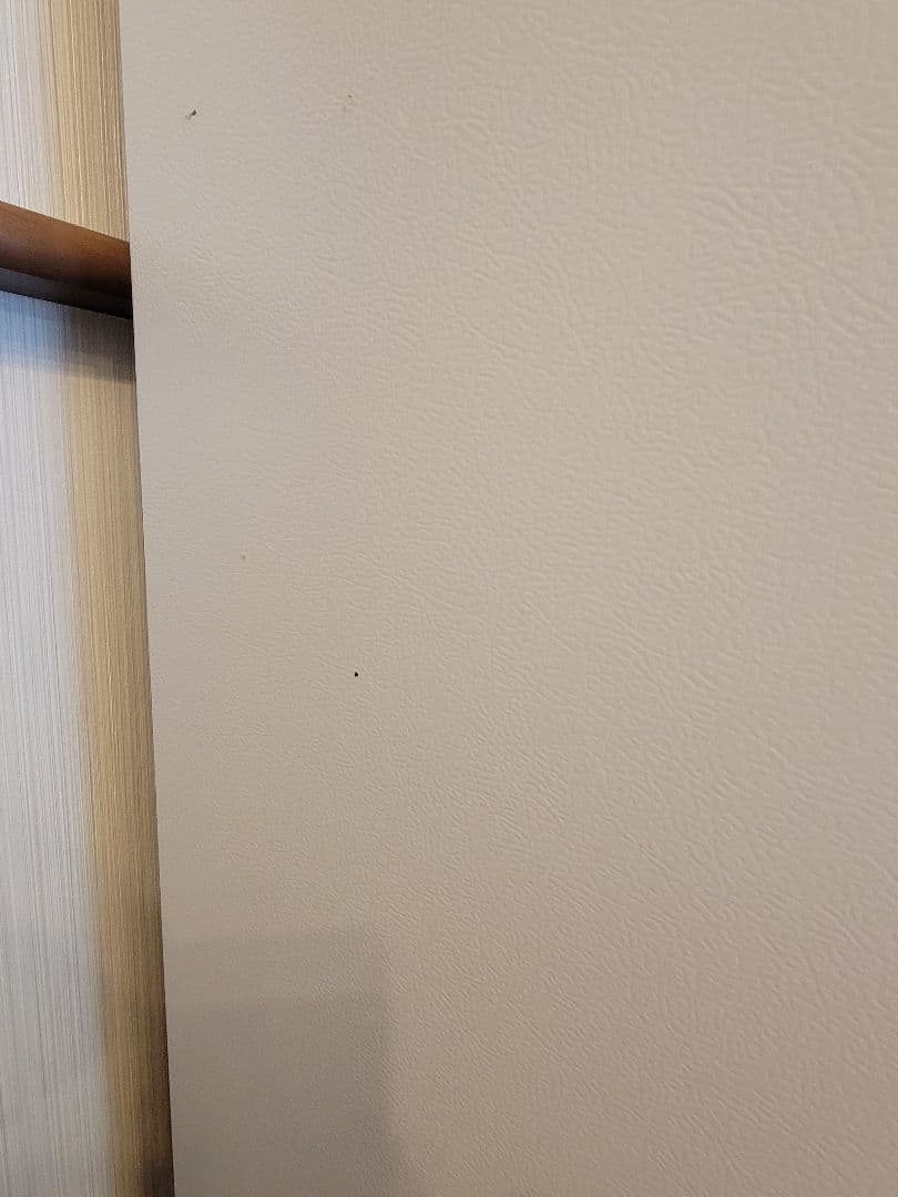 TOSHIBA　ノンフロン冷凍冷蔵庫411L　GR-T41GXK(EW)