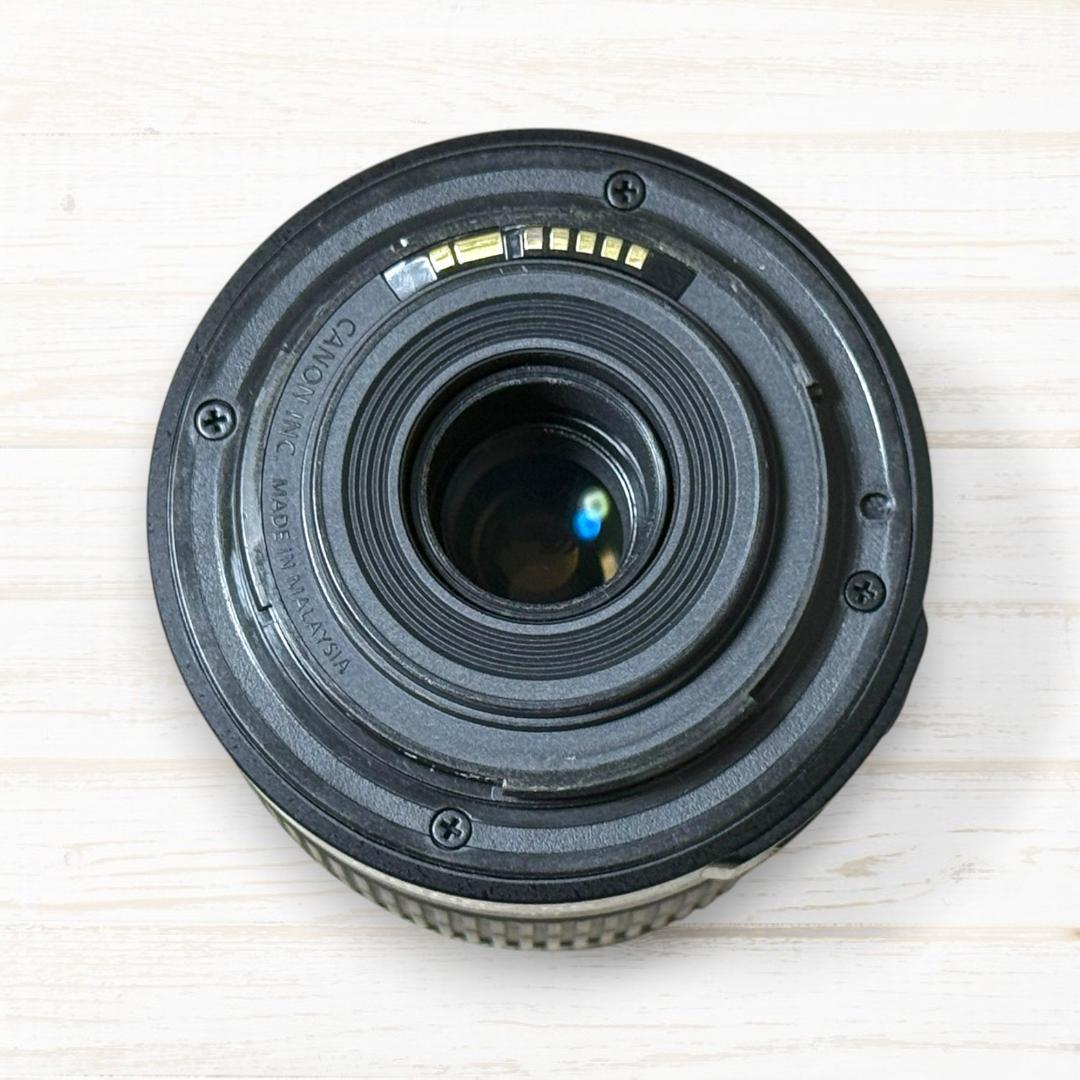 Canon ズームレンズ EF-S 55-250mm IS Ⅱ #236