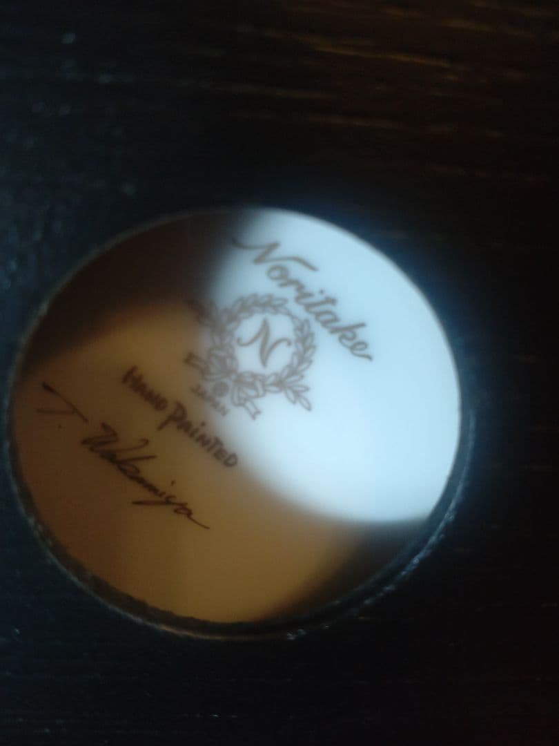 ノリタケハンドペイント素描画皿５枚