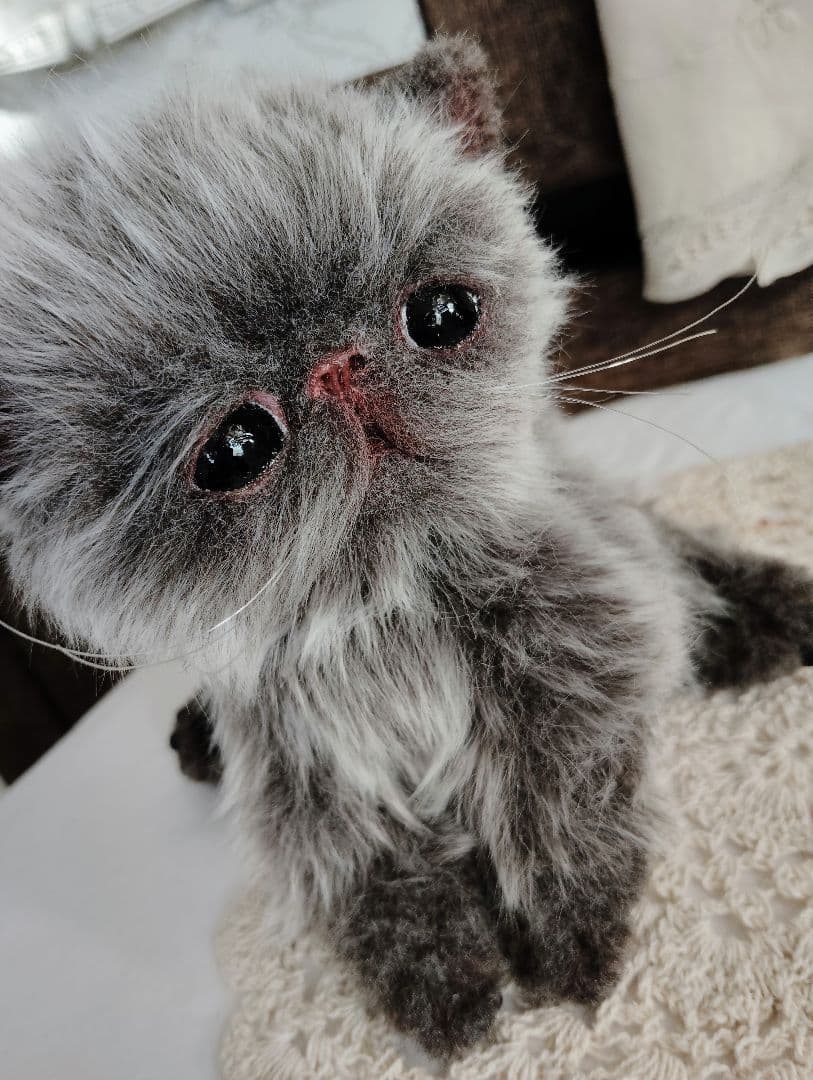 ミルクラテカラー♡子猫のミラちゃん♡エキゾチック♡アートドール♡ぬいぐるみ♡