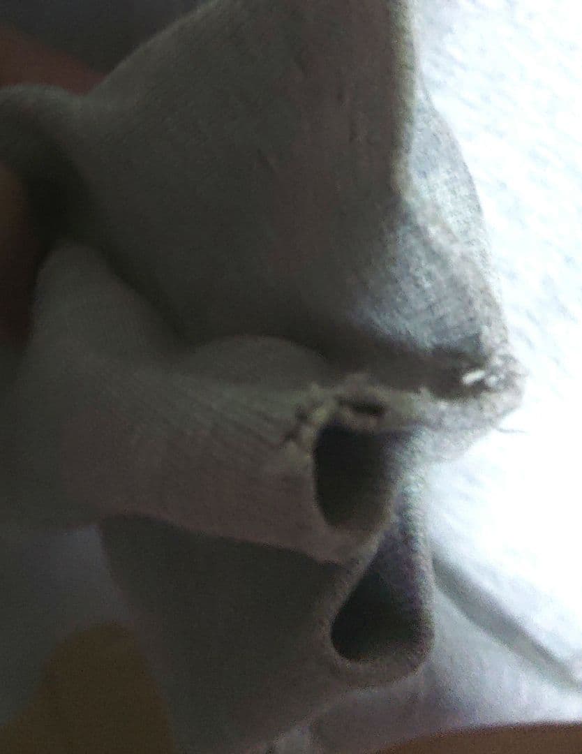 d*i様 80s トリコタグUSA製 チャンピオン リバースウィーブLサイズ 目